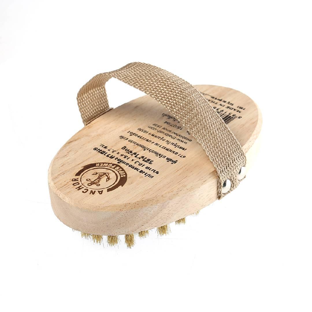 แปรงทองเหลืองรูปไข่ (โหล)